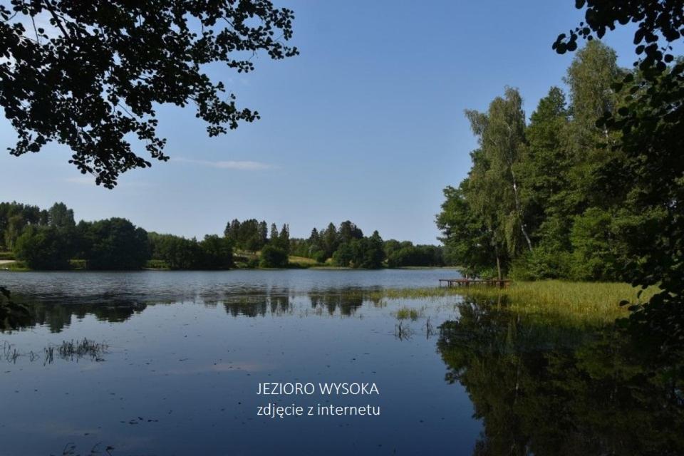 Luksusowy- Nowoczesny Dom W Lesie Villa Kowalewo Eksteriør billede